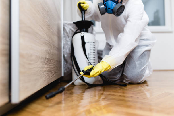 Best Pest Control Near Me  in Darien Downtown, CT