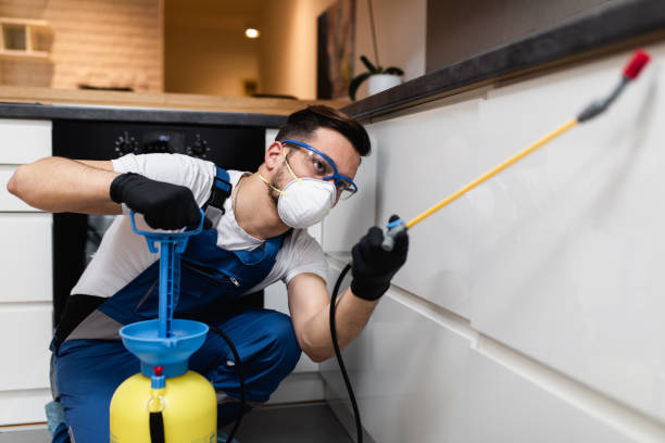Best Best Pest Control Companies  in Darien Downtown, CT