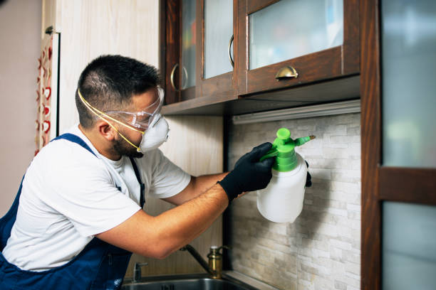 Best Flea Control Services  in Darien Downtown, CT