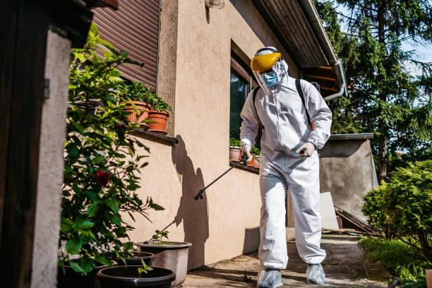 Best Affordable Pest Control Services  in Darien Downtown, CT