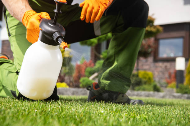 Best Wasp Removal Services  in Darien Downtown, CT