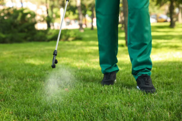  Darien Downtown, CT Pest Control Pros