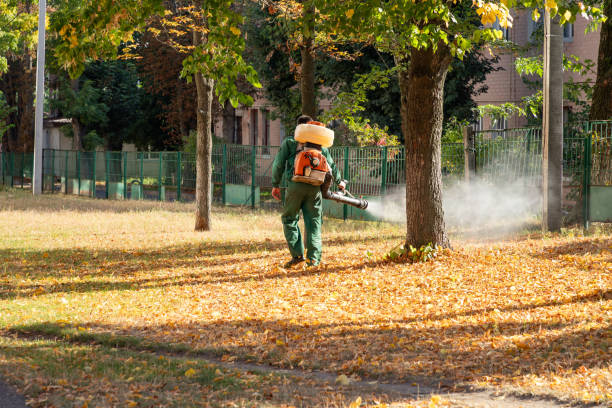 Best Emergency Pest Control  in Darien Downtown, CT